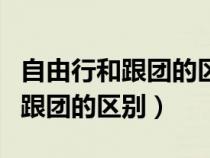 自由行和跟团的区别缺点优点邮轮（自由行和跟团的区别）