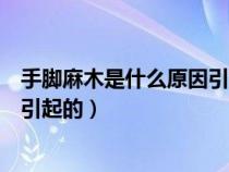 手脚麻木是什么原因引起的如何治疗（手脚麻木是什么原因引起的）