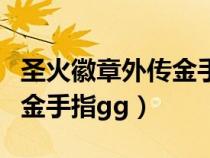 圣火徽章外传金手指格式不对（圣火徽章外传金手指gg）