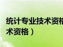 统计专业技术资格考试报名时间（统计专业技术资格）