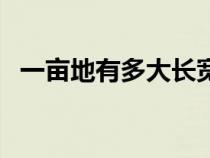 一亩地有多大长宽（一亩地是多少长与宽）