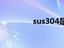 sus304是什么意思（sus）