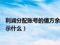 利润分配账号的借方余额表示（利润分配账户的借方余额表示什么）