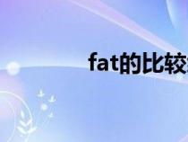 fat的比较级和最高级（fat）