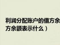 利润分配账户的借方余额表示什么含义（利润分配账户的借方余额表示什么）