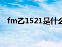 fm乙1521是什么意思（521是什么意思）