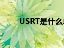 USRT是什么单位（rt是什么单位）