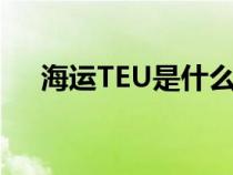 海运TEU是什么意思（teu是什么意思）