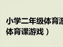 小学二年级体育游戏课教学视频（小学二年级体育课游戏）