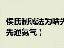 侯氏制碱法为啥先加氨气（侯氏制碱法为什么先通氨气）