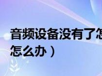 音频设备没有了怎么办苹果（音频设备没有了怎么办）