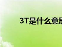 3T是什么意思啊（3t是什么意思）