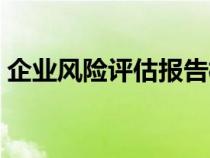 企业风险评估报告模板（企业风险评估报告）