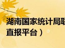 湖南国家统计局联网直报平台（湖南联网统计直报平台）