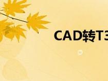 CAD转T3格式（cad转t3）