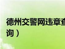 德州交警网违章查询官网（德州交警网违章查询）