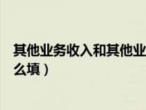 其他业务收入和其他业务利润（其他业务收入在利润表中怎么填）