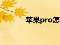 苹果pro怎么念（pro怎么念）