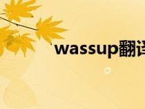 wassup翻译成中文（wassup）