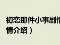 初恋那件小事剧情介绍结局（初恋那件小事剧情介绍）