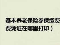 基本养老保险参保缴费证明怎么打印（基本养老保险参保缴费凭证在哪里打印）