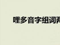 哩多音字组词两个字（哩多音字组词）