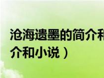 沧海遗墨的简介和小说的区别（沧海遗墨的简介和小说）