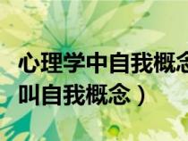 心理学中自我概念的名词解释（心理学上什么叫自我概念）