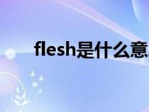 flesh是什么意思（fiash是什么意思）