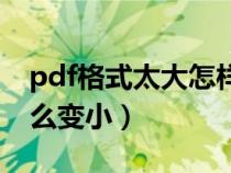 pdf格式太大怎样能小一点（pdf格式太大怎么变小）