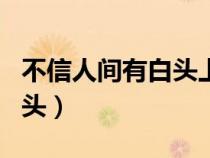 不信人间有白头上一句是什么（不信人间有白头）