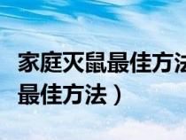 家庭灭鼠最佳方法老鼠喜欢吃什么（家庭灭鼠最佳方法）