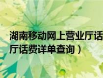 湖南移动网上营业厅话费详单查询官网（湖南移动网上营业厅话费详单查询）