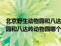 北京野生动物园和八达岭野生动物园的区别（北京野生动物园和八达岭动物园哪个好）