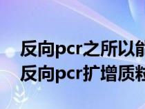 反向pcr之所以能扩增未知序列的原因在于（反向pcr扩增质粒）