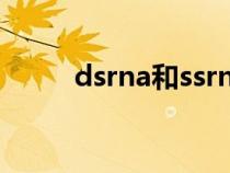 dsrna和ssrna名词解释（dsrna）