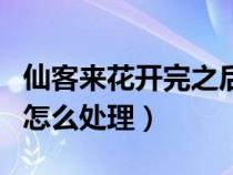 仙客来花开完之后怎么处理（仙客来花花谢后怎么处理）