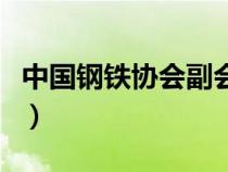 中国钢铁协会副会长什么级别（中国钢铁协会）