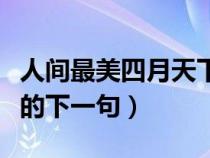 人间最美四月天下一句是啥（人间最美四月天的下一句）