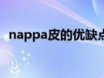 nappa皮的优缺点（nappa皮是什么意思）