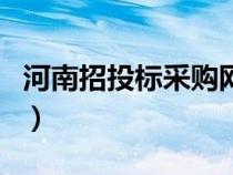 河南招投标采购网官网（河南招标采购综合网）