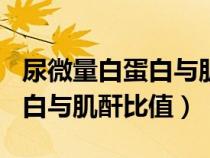 尿微量白蛋白与肌酐比值300多（尿微量白蛋白与肌酐比值）