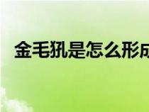 金毛犼是怎么形成的（金毛犼是什么东西）