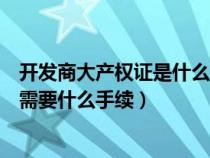 开发商大产权证是什么意思（房地产开发商的大产权证办理需要什么手续）