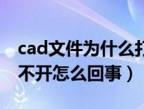 cad文件为什么打不开怎么回事（cad文件打不开怎么回事）