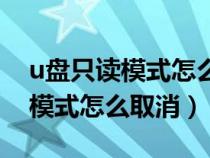 u盘只读模式怎么取消无法格式化（u盘只读模式怎么取消）