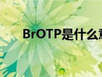 BrOTP是什么意思（otp是什么意思）