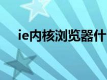 ie内核浏览器什么意思（ie内核浏览器）