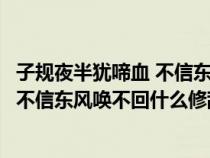 子规夜半犹啼血 不信东风唤不回什么意思（子规夜半犹啼血不信东风唤不回什么修辞手法）