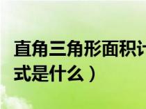 直角三角形面积计算方法（直角三角形面积公式是什么）